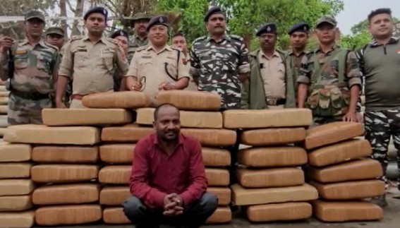 350 kg Ganja seized in Teliamura, 1 Arrested 350 kg Ganja seized in Teliamura, 1 Arrested